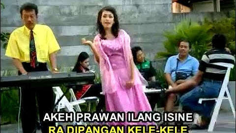 Liza RCL - Prawan Sak Iki (Karaoke) IMC RECORD