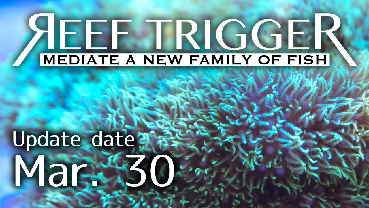 沖縄産スターポリプ メタリックグリーン Mlサイズ Reef Trigger