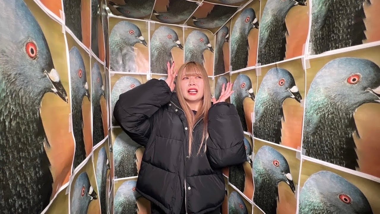 壁中に嫌いなもの貼り付けた部屋に閉じ込めたら大号泣…