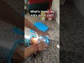 What's inside my kid's lunch box?#trending #shorts