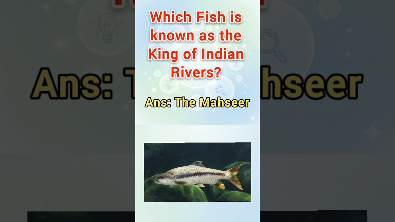 Какая рыба известна как царь индийских рек? 
