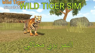 Wild Tiger sim 3D screenshot 5