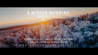 A Winter Morning - Großer Feldberg Cinematic FPV