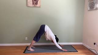 Hanuman Jumps: a yoga high lunge pose exercise for cardio & energy 🐒 with Gentle Yoga options