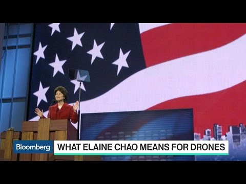 What DOT Pick Eliane Chao Could Mean For Drone Industry