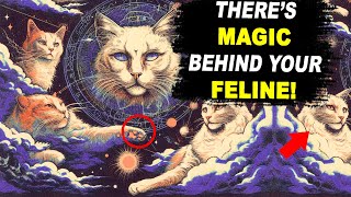 Your CAT Manifested YOU | SECRET Spiritual MAGIC of Cats