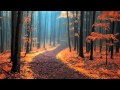 magical paths