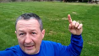 Brown Patches in spring grass may be Nimbelwill, how to know if this is the problem with your lawn.