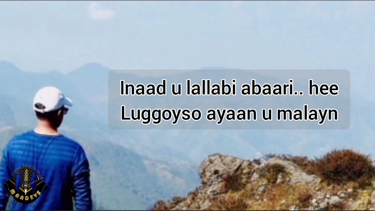 HEES | Jaceylkii Ii Ladnaa | Cabdullaahi Xarago | Original | Lyrics