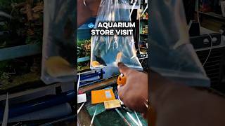 🐟 Aquarium Store Visit #fishkeepinghobby #smartphone #minivlog #aquascapelowtech #aquarium#fishtank