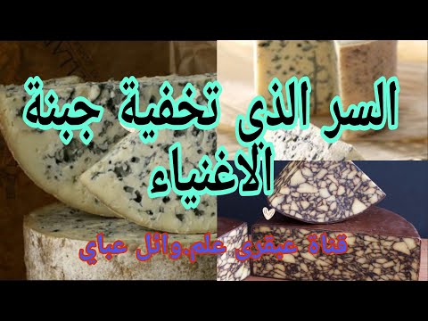 اسرار تخفيها جبنة ريكفورد   الجبنة الزرقاء الفرنسية جبنة الاغنياء