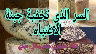 اسرار تخفيها جبنة ريكفورد (Blue cheese.الجبنة الزرقاء .الفرنسية جبنة الاغنياء)