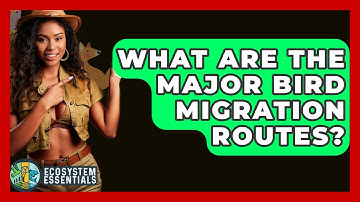 What Are The Major Bird Migration Routes? - Ecosystem Essentials
