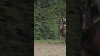 Au galop vers la rentrée ! 🏇