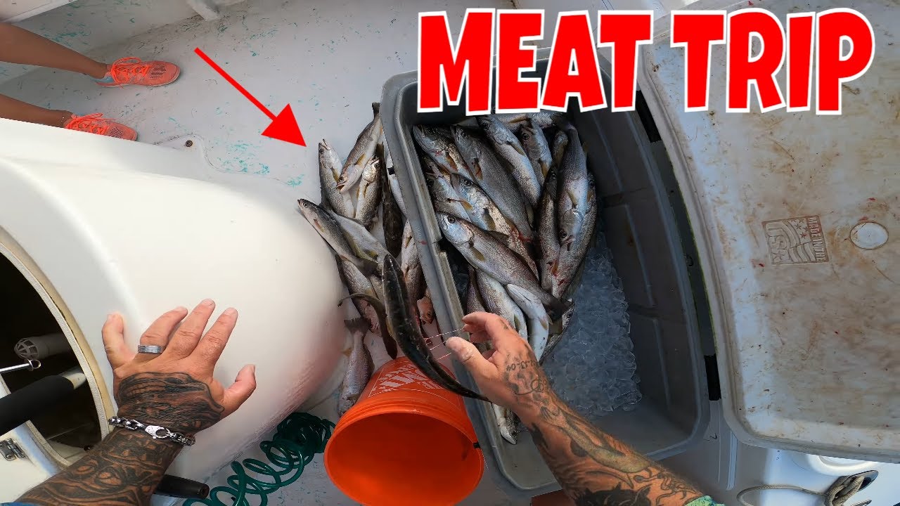 Мы нашли райское место*** МЯСНОЕ ПУТЕШЕСТВИЕ *** Морская рыбалка во Флориде