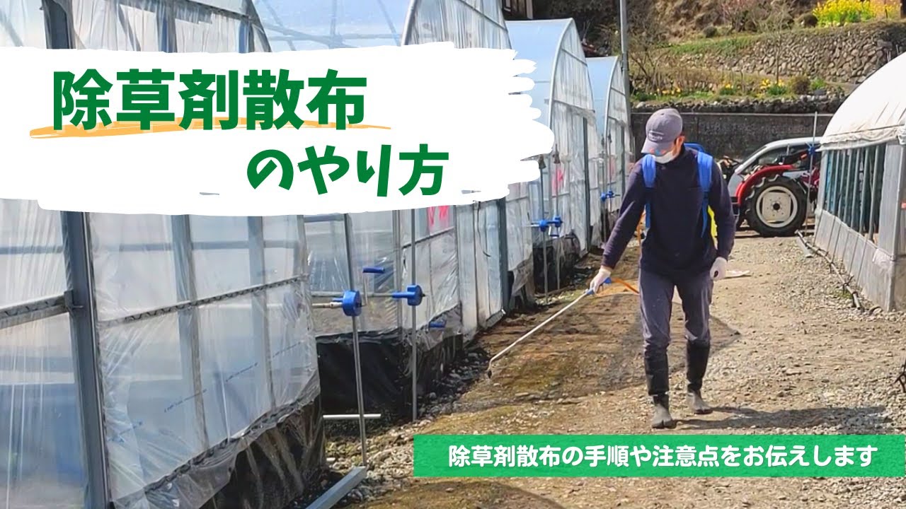 農家必見】除草剤散布のやり方を確認しましょう！ - YouTube