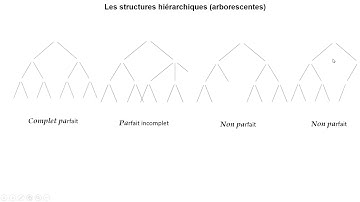 Algorithmique et Structures de Données Avancées : les arbres binaires