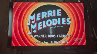Leghorn Swoggled 1951 Opening On Metv