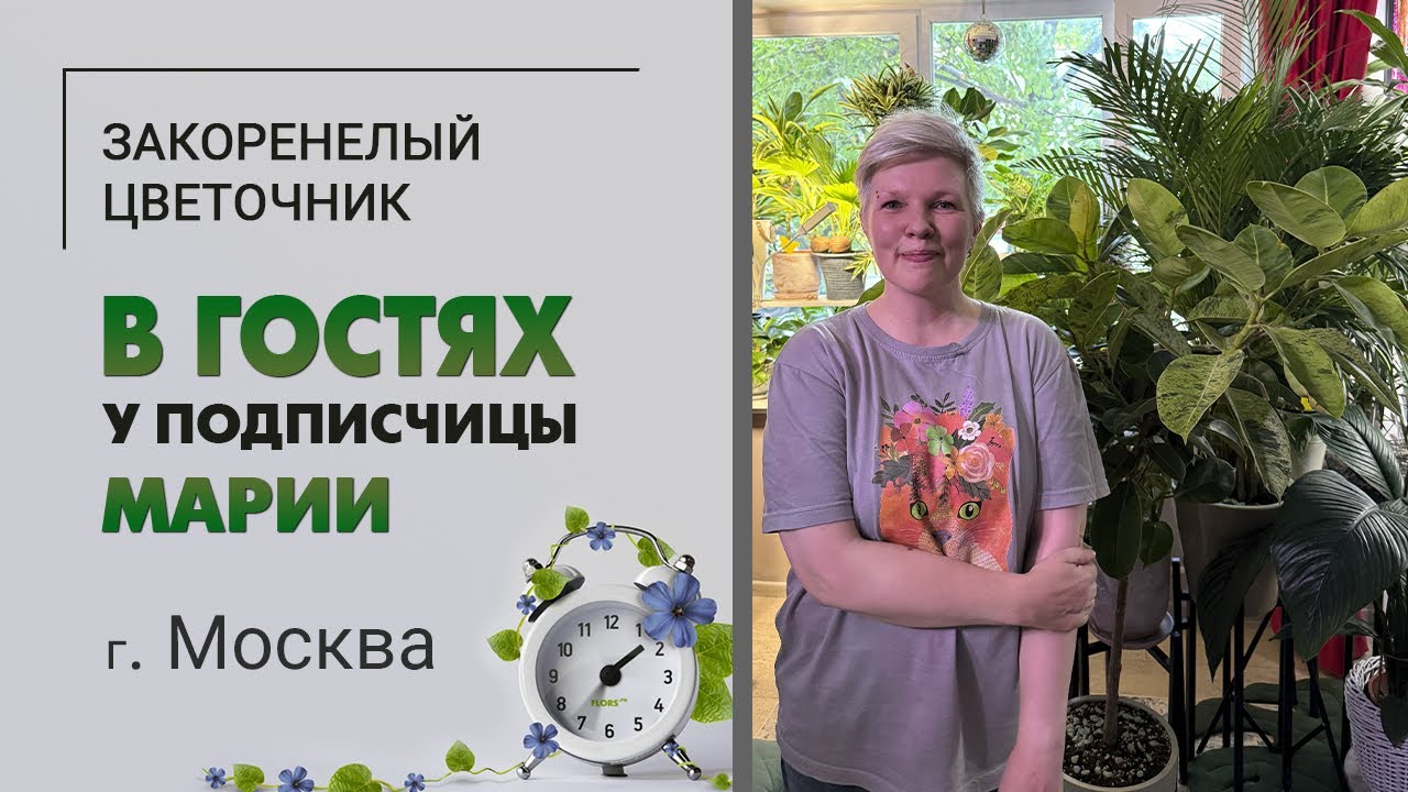 В гостях у Марии г. Москва. Ботанический сад на 3м2. Крупномеры и драцены всех видов и размеров.