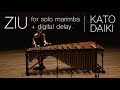 Ziu solo marimba with digital delay  kato daiki