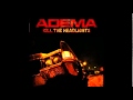 Adema - What Doesn't Kill Us