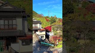BUS STOP "YUNOMOTOKAMI": Yunotsuru Onsen: Yude, Minamata, Kumamoto, Japan #countryside #country