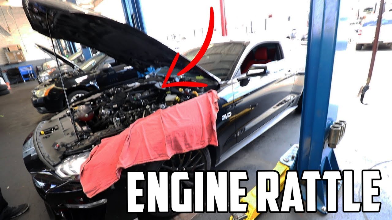 The TRUTH about owning a 2019 Mustang GT I wish I KNEW!