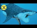 10 Extrañas criaturas extintas