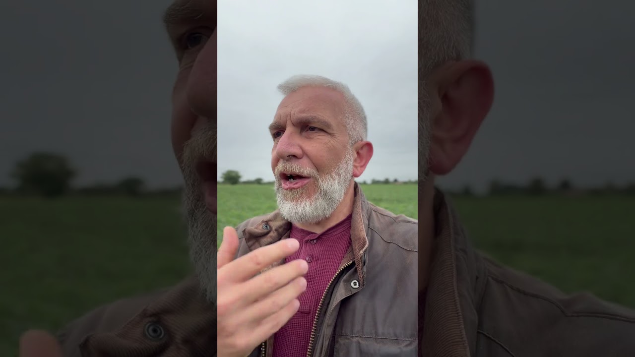 Spirals of Emotion within Qigong #qigong #emotions #5elemente #fear #frustration #grief