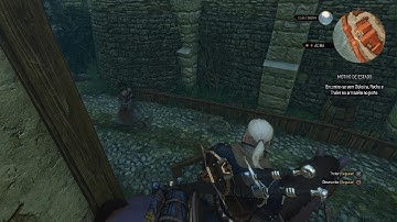 The Witcher 3, Reason Of State door bug