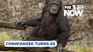 洋楽 ANIMAL CHIN / 20 Minutes From Right Now Animal Chin – 20 Minutes From Right Now (1999) [Full CD