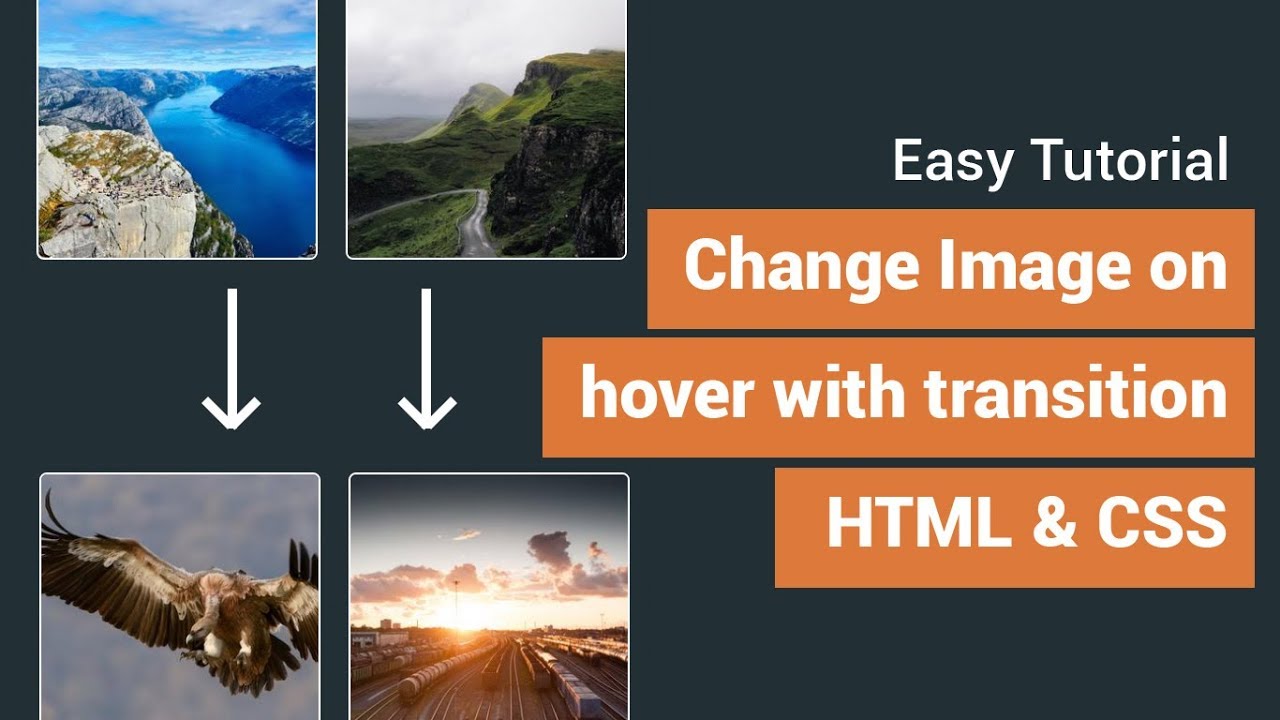 Change Background Image On Hover With Css Transition Effects CSS Change Background Image On Hover With Css Transition Effects CSS