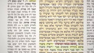מסכת בבא קמא דף ל"ט 39