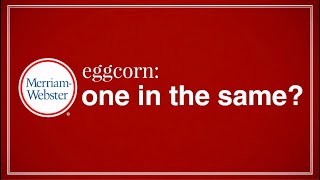 'One in the same': An Eggcorn - Merriam-Webster