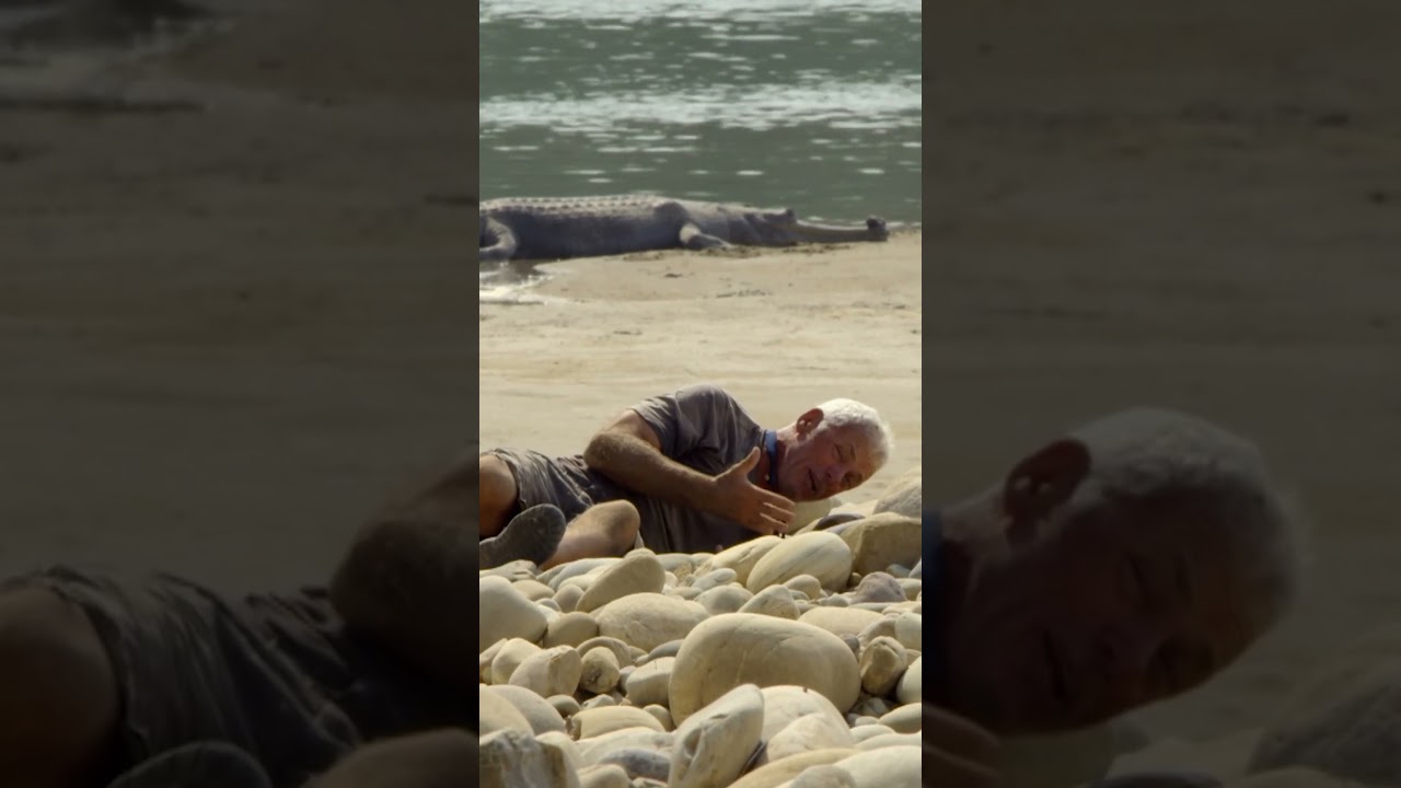 There are less than 200 Gharial in the world 🐊