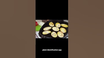 How not to starve to death for dummies