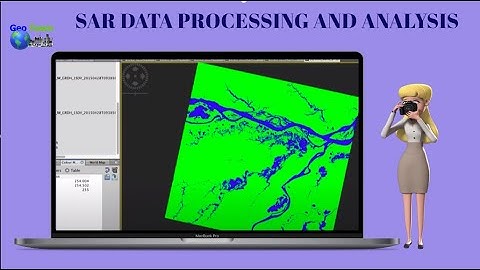 SAR Data Processing and Analysis