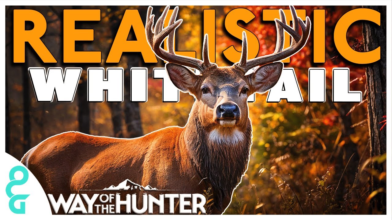 Realistic WHITETAIL Hunt, THE CULLING BOW | WAY OF THE HUNTER