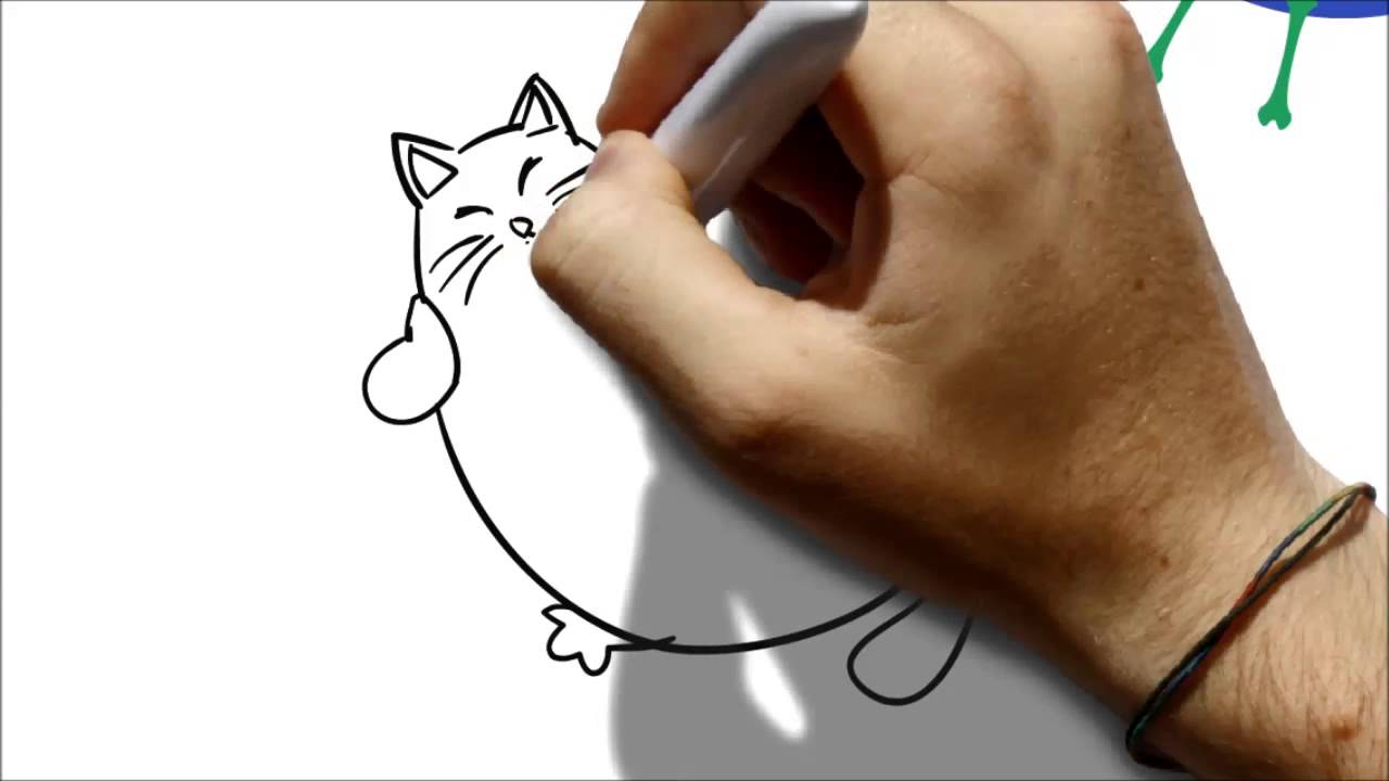 Public health and the 5 levels of prevention