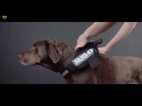 julius k9 harness fitting instructions