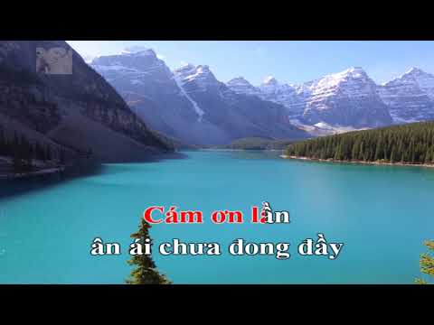 Karaoke - Cảm Ơn Niềm Đau - Đàm Vĩnh Hưng - Tone Nam ( Dễ hát )