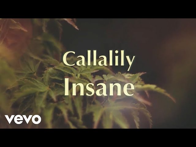 Callalily - Insane [Lyric Video] class=