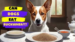 Can Dogs Eat Buckwheat? | Shocking Truth Revealed by Serve Dogs 63 views 2 months ago 2 minutes, 20 seconds