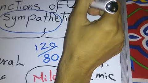 Functions of Sympathetic (Head and Neck and Cardio Pulmonary) dr mohamed fayez