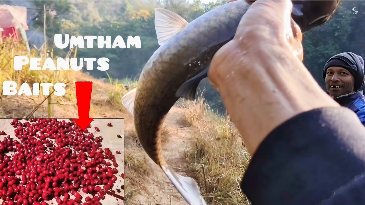 UMTHAM | Khwai Wah  Umtham @Jumakdoh 