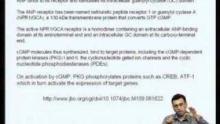 Mod-05 Lec-17 Regulation of gene expression by second messengers other than cAMP