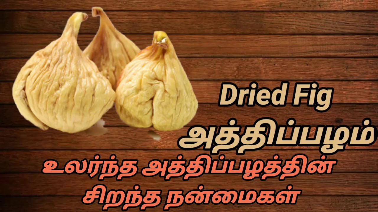 Dried fig அத்திப்பழத்தின் சிறந்த நன்மைகள் fig benefits and uses Medicine Health YouTube
