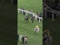 A special horse ❤️ When ONE MAN had his day in the sun at the Cheltenham Festival...