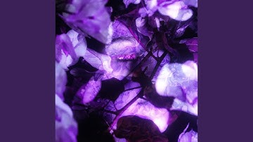 Quest for Perfection