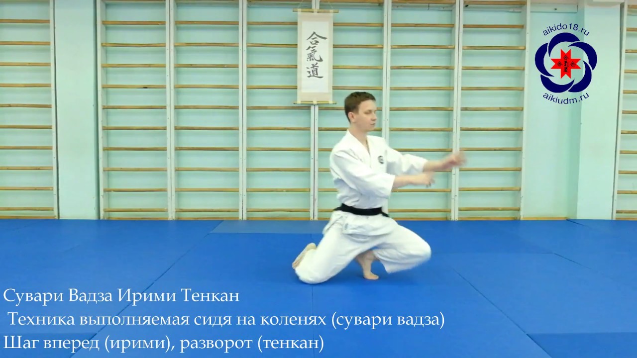 Ирими Тенкан (сувари вадза) / Передвижения айкидо
